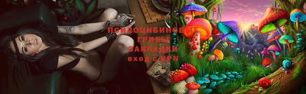 соль курить ск Богданович