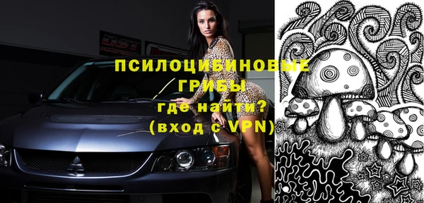 гашик Белоозёрский